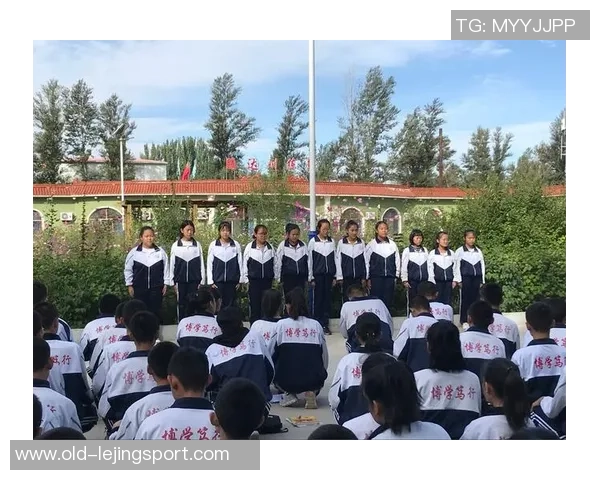 街头篮球猫王的传奇之路与青春热血的碰撞